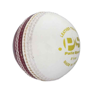 Cricket Ball - Coaching Ball - 5.5oz - White/Red