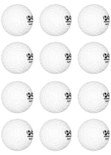 Load image into Gallery viewer, Neptune Hockey Training Ball White 12-Ball Bundle