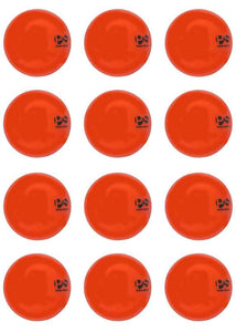 Smooth Mini Hockey Ball Orange 12-ball bundle